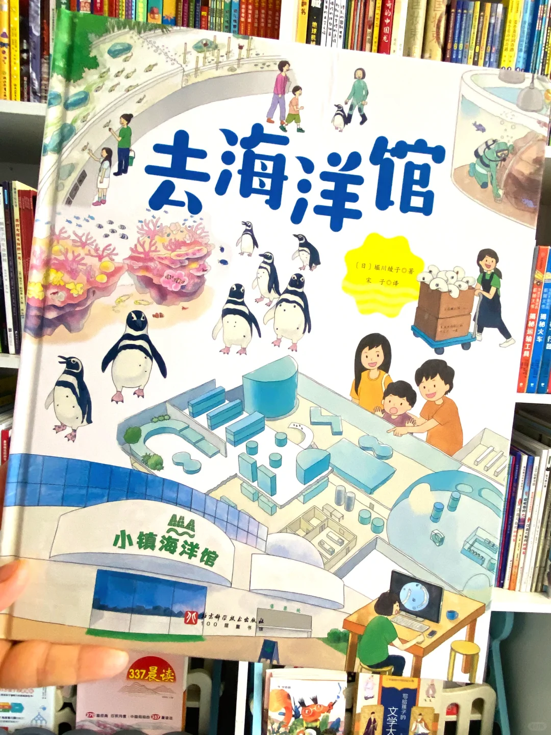 哪个孩子不爱去海洋馆？了解海洋馆工作流程