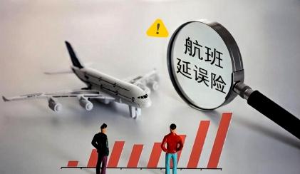 女子靠天气预报买延误险
5年获赔近三百万被抓

女子靠研究天气预报预判航班延误，