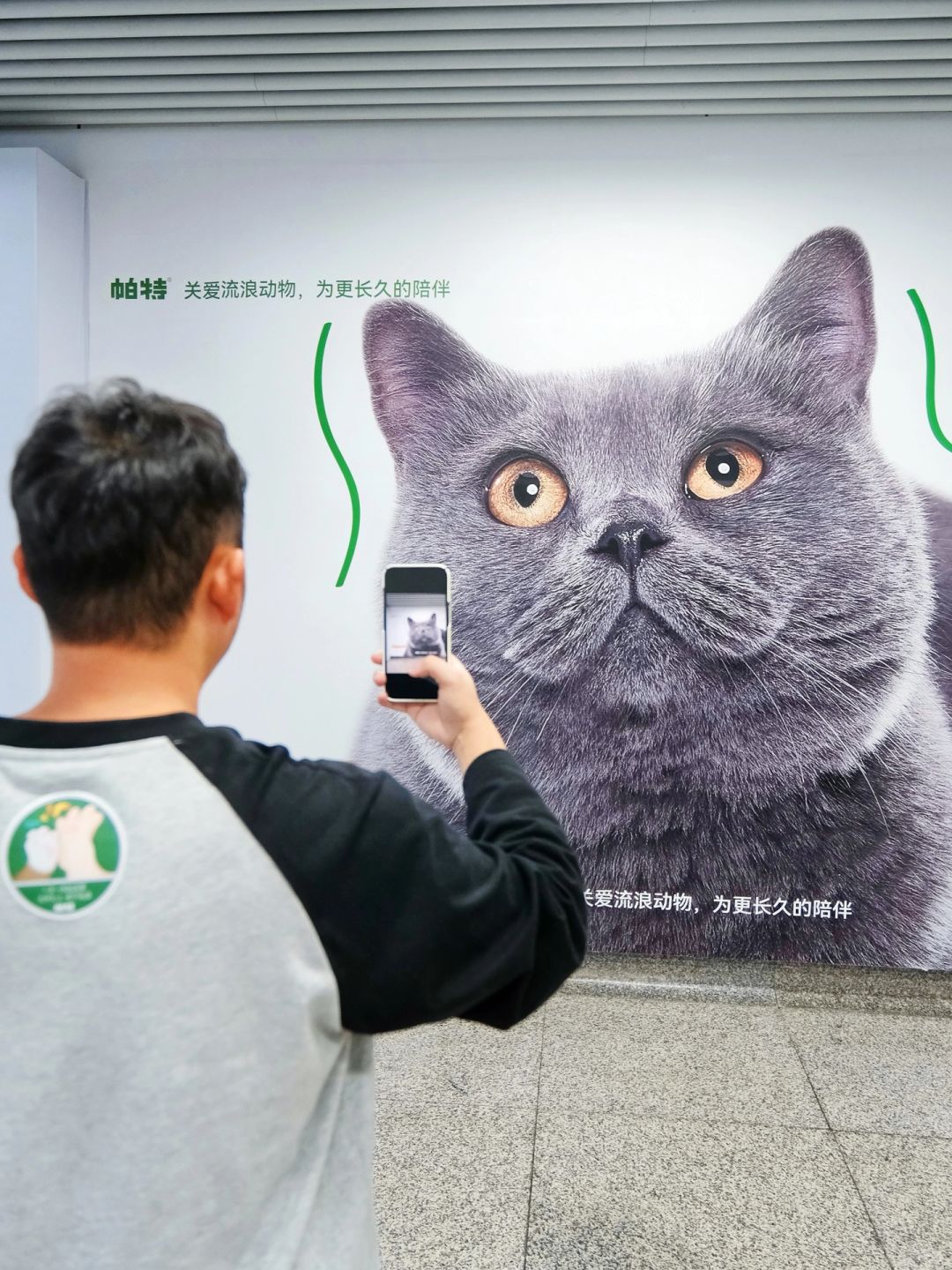 杭州好有爱心啊😭按一下就送猫粮诶！！！