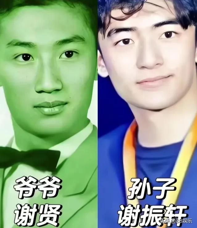 谁看懂了？谢振轩一张脸，集齐爷爷谢贤、爸爸谢霆锋、外公张仁勇的五官特征。
基因真