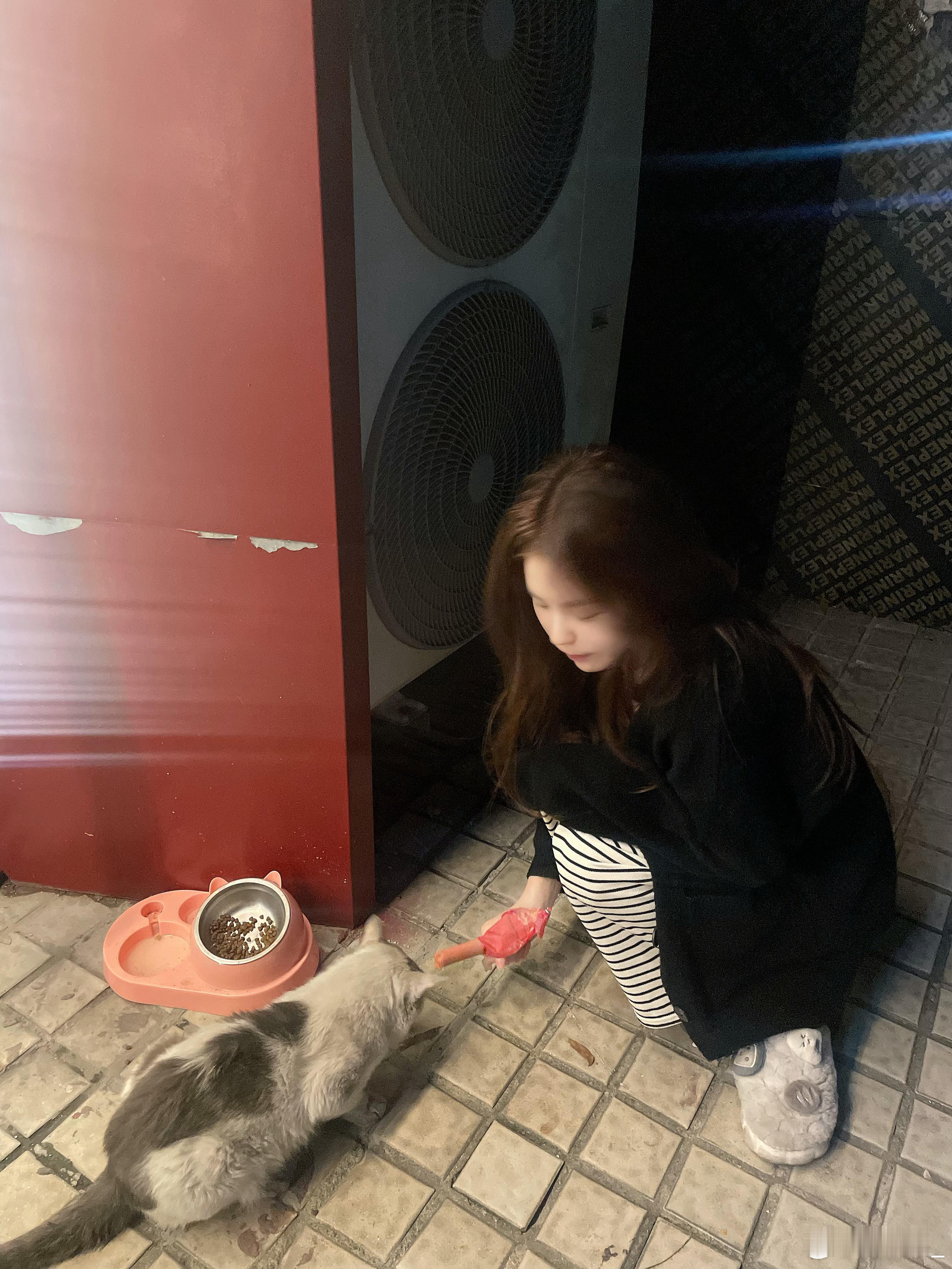 一次2块5的外向换来无情的一爪子[跪了] ​​​