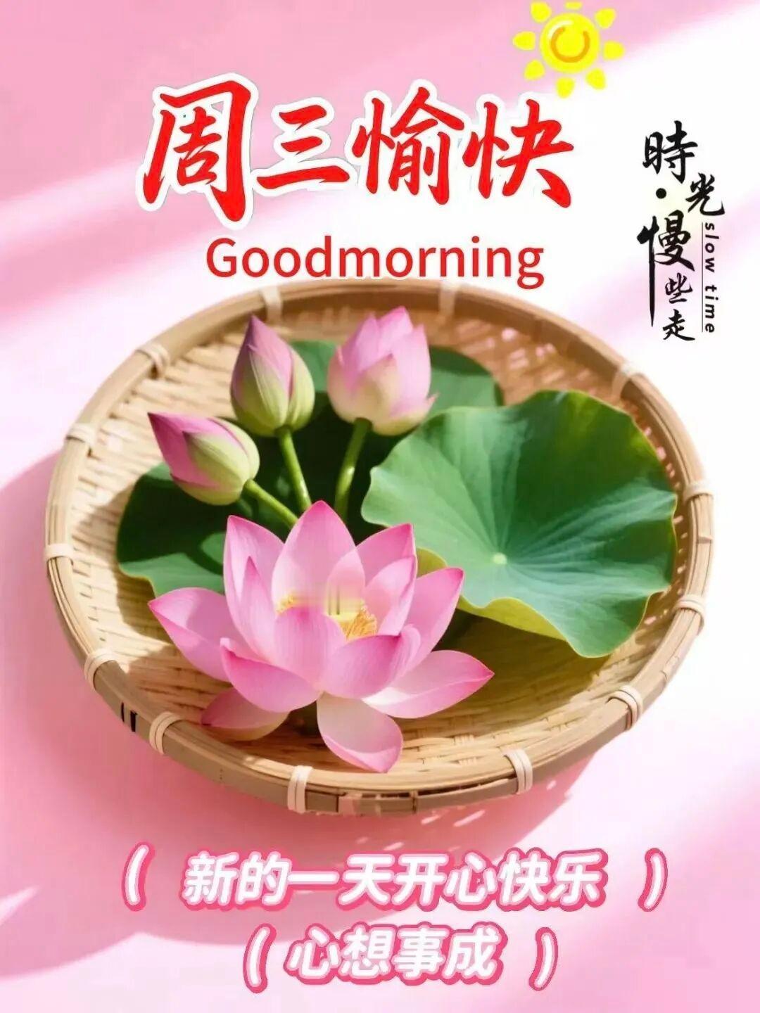 记录今日小确幸今日的小确幸又来自头条，今天又一个汽车征文过关了，心情轻松了许多，