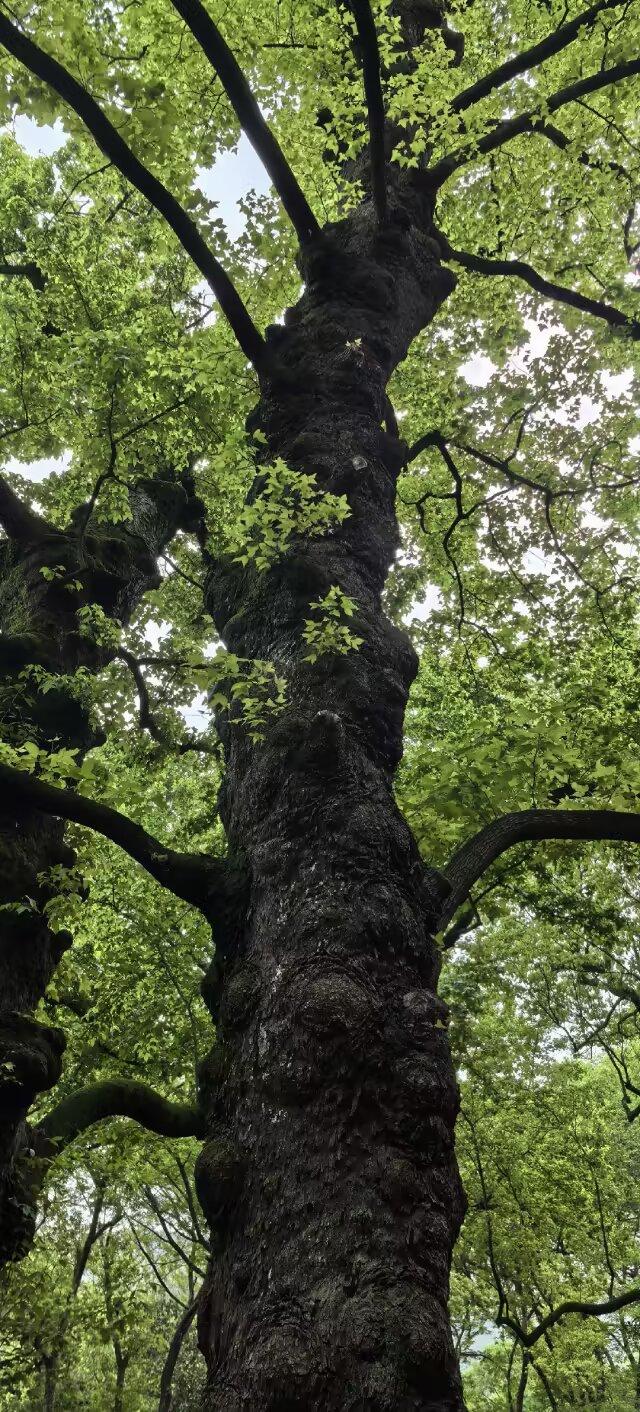 抛开空想，普通人的财富自由，从来都靠踏实醒悟
十年前流传的五十条财富心得，如今再