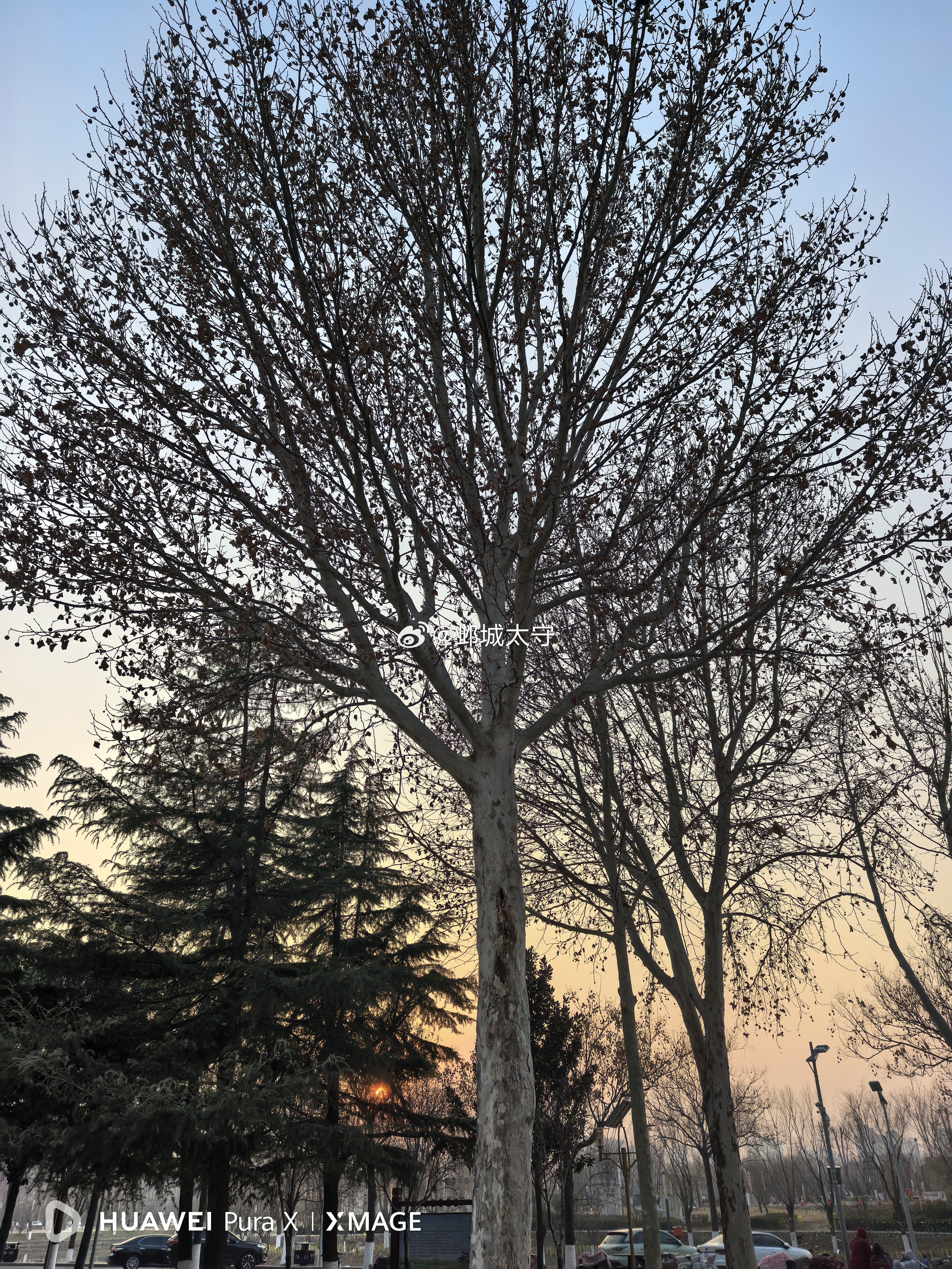 买车是上班开车更方便，上班挣钱是为还车贷。听别人这么一说，还挺讽刺，驴🫏给自己