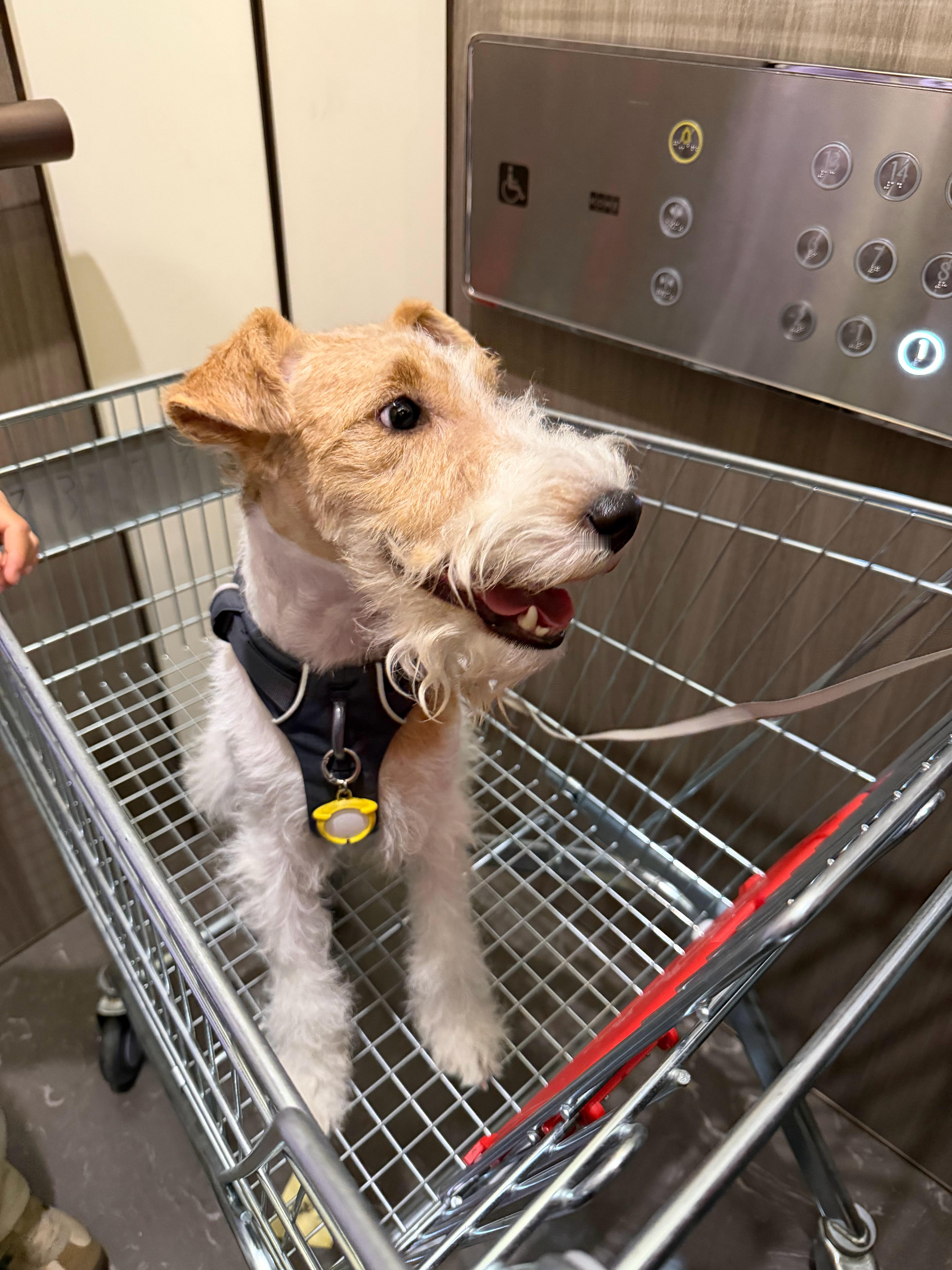 早上好，又到了勤劳的周一