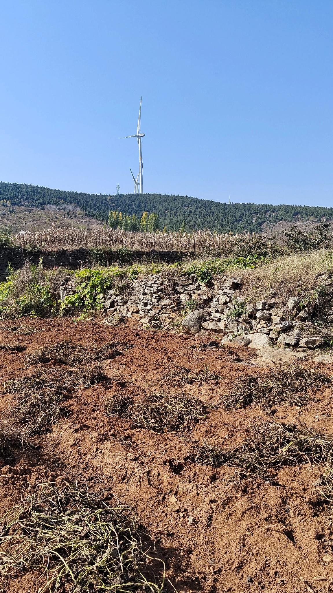 现在有一种论调特别危险，有人说老实就是傻，老实就是缺心眼，老实人讨不到媳妇。
我
