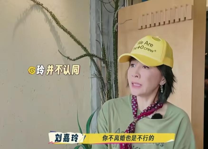 何赛飞说尽量克服困难不离婚，刘嘉玲不赞同她的说法！
何赛飞：“能克服的困难不要离