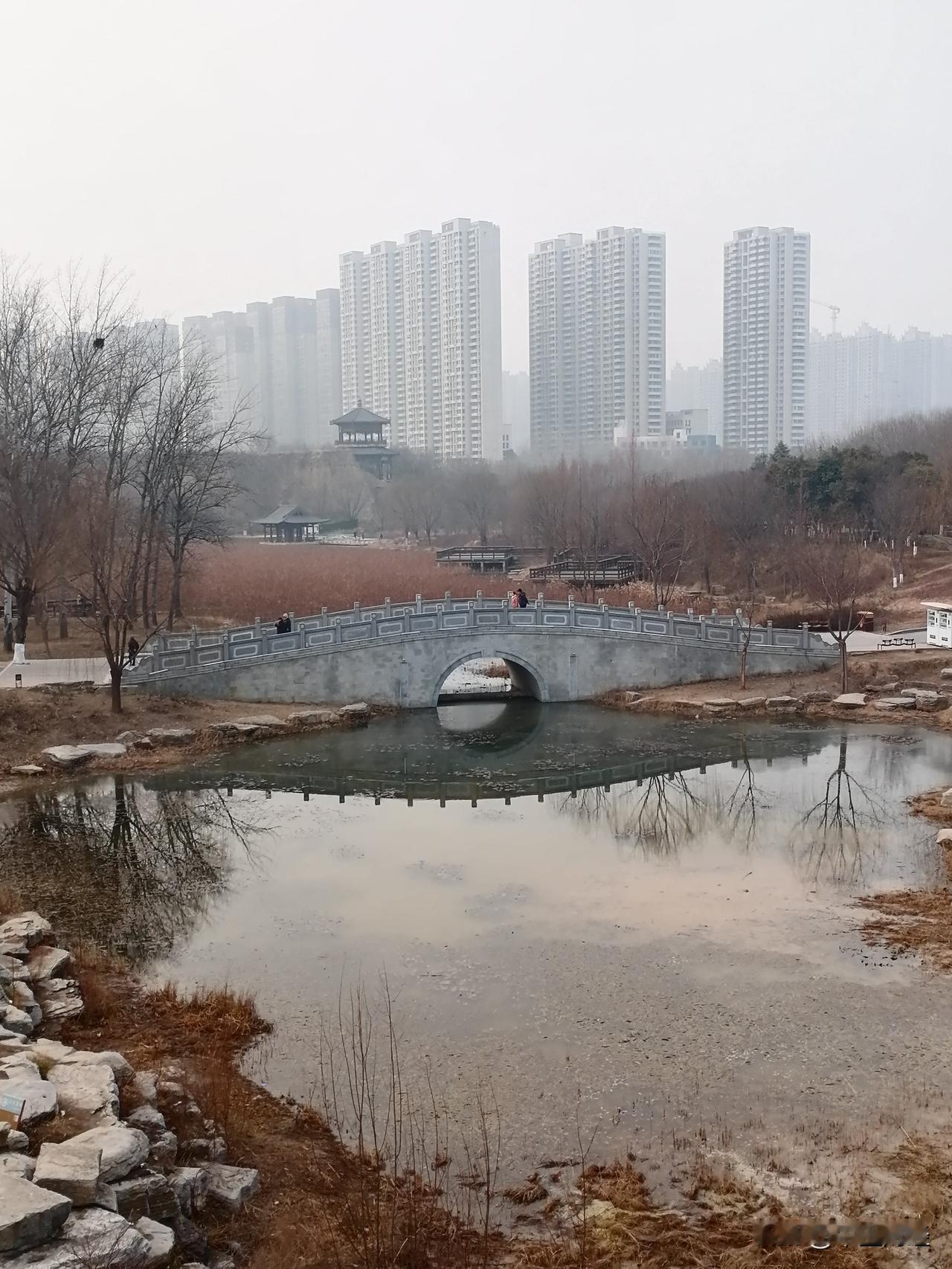 晒图笔记大赛冬日的石拱桥！虽然河中的白莲已经枯萎，只剩下光秃秃的树干，然而，这并