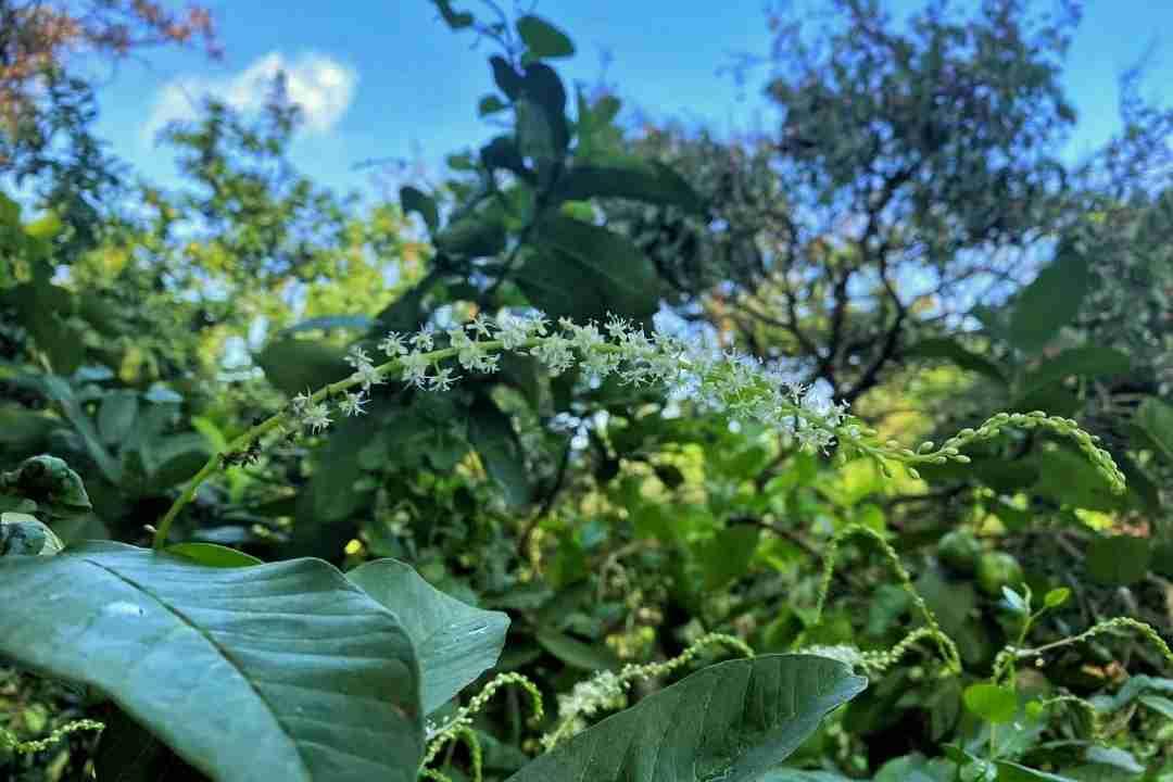 我的今日状态：😁轻松愉快
我这里的天气：☀️晴天
