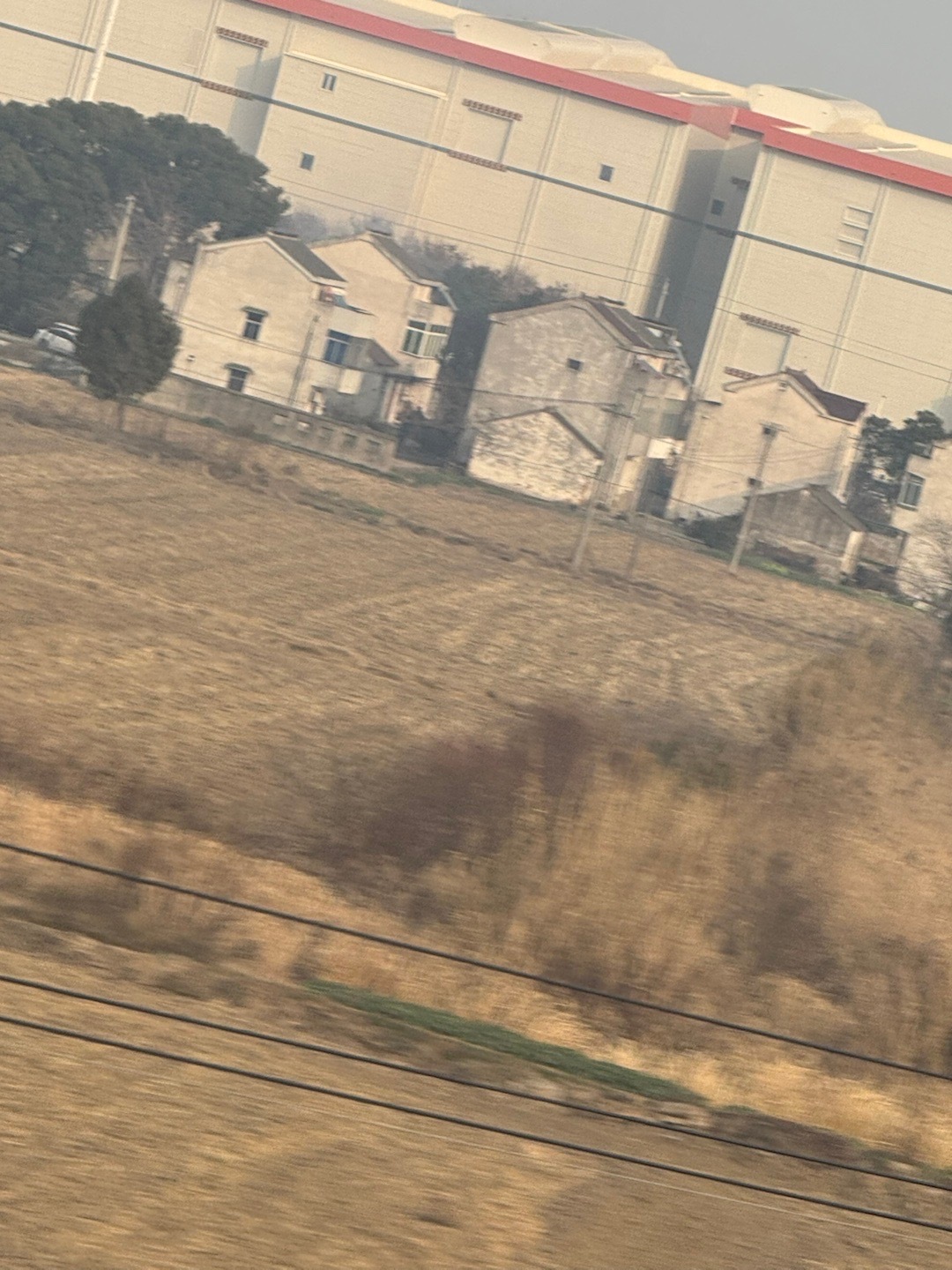 静坐室内，目光落向窗外，那一方小小的天地，藏着朝暮更迭的景致，载着四季流转的温柔