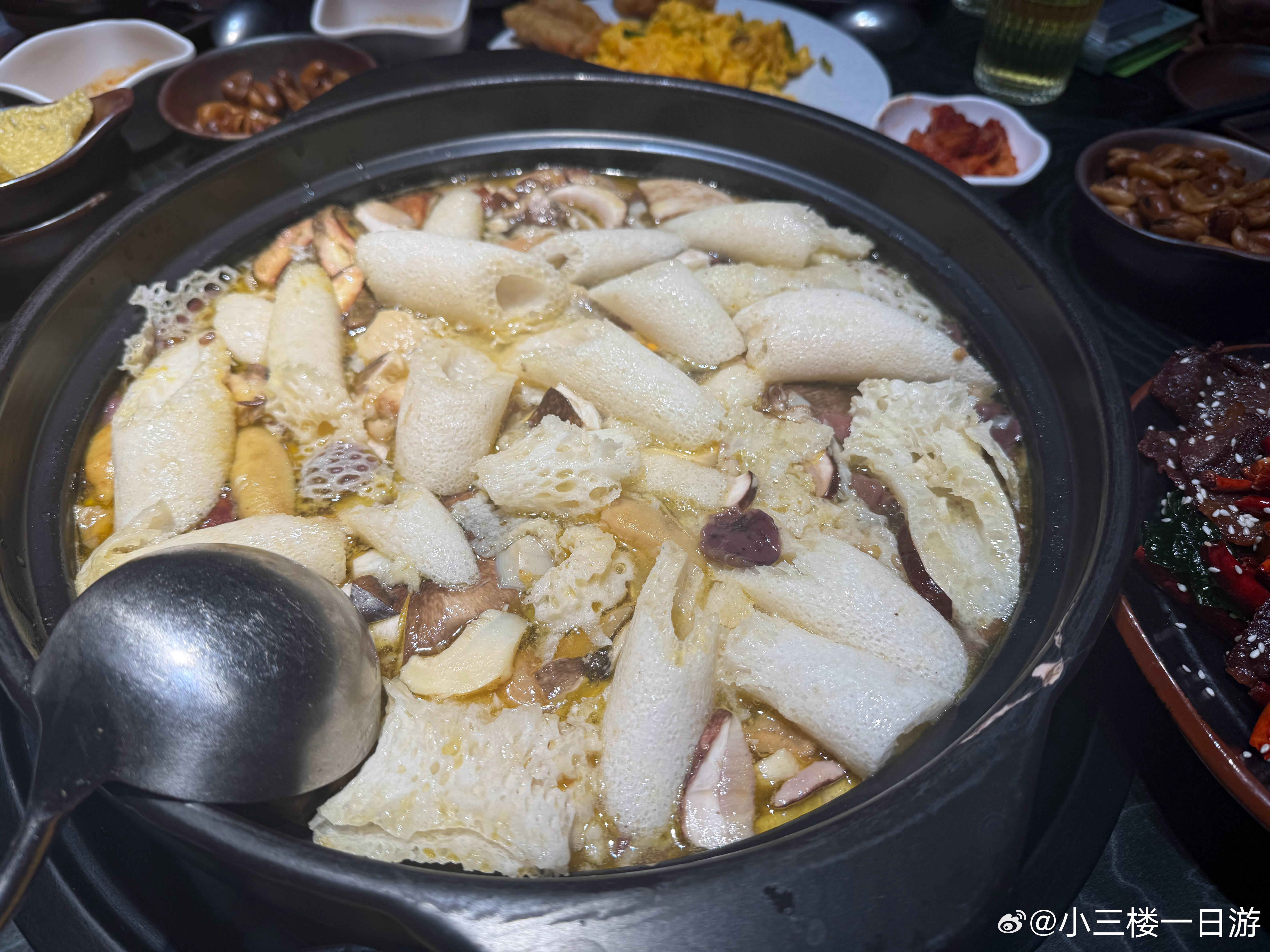 菌子走起