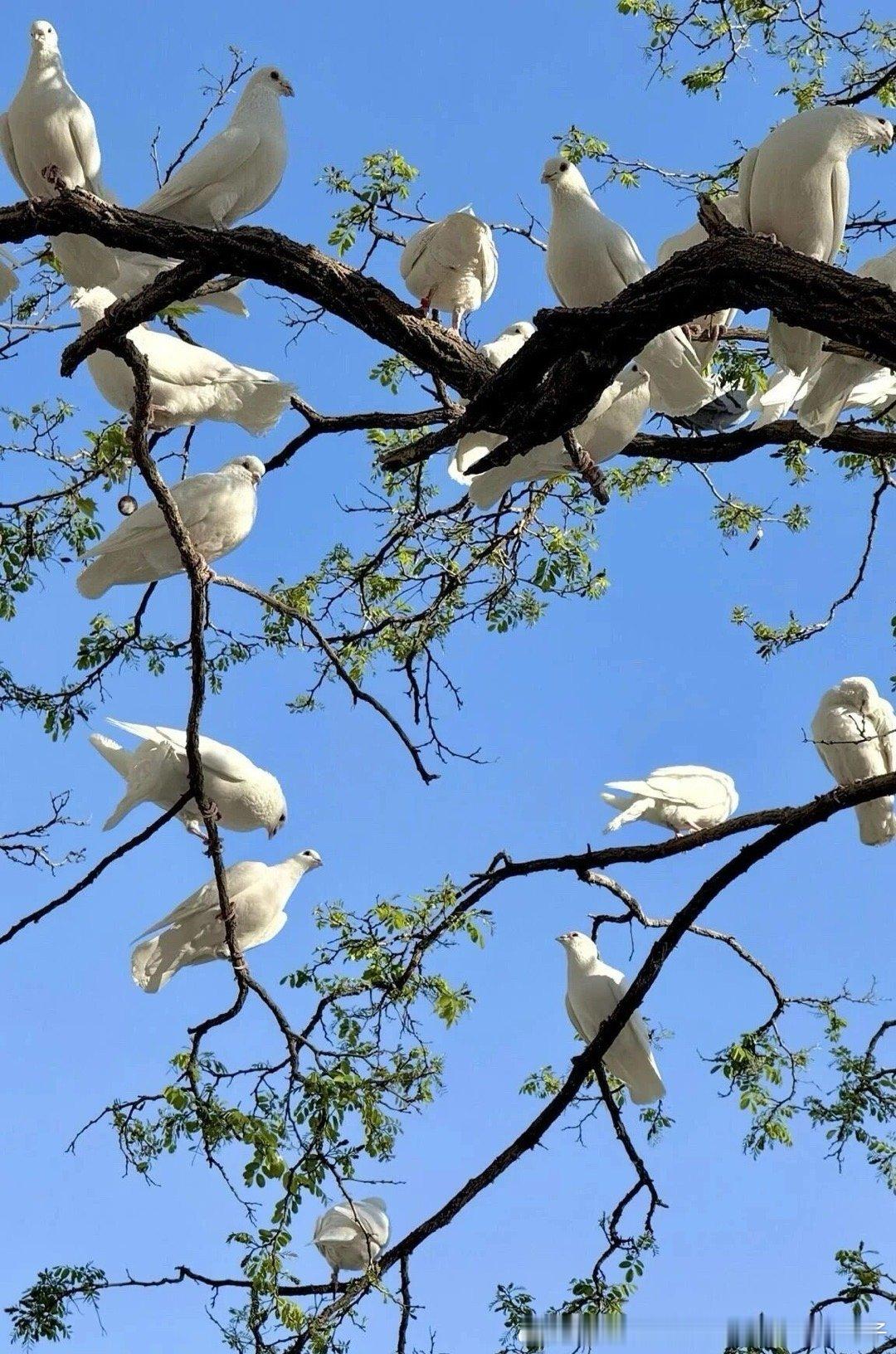 生生不息，是对时光最温柔优雅的反抗。 