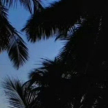 每日一善每日一善 ❤️阳光信用 尊重是人际交往的基石，自爱是内心安宁的源泉。低谷