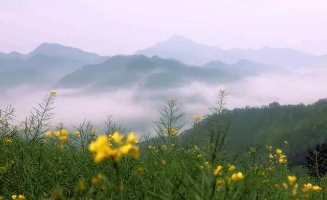 春山晓韵
春山破晓曙光微，宿雾初开百鸟飞。 
涧水潺潺鸣石隙，松涛阵阵拂岩扉。 