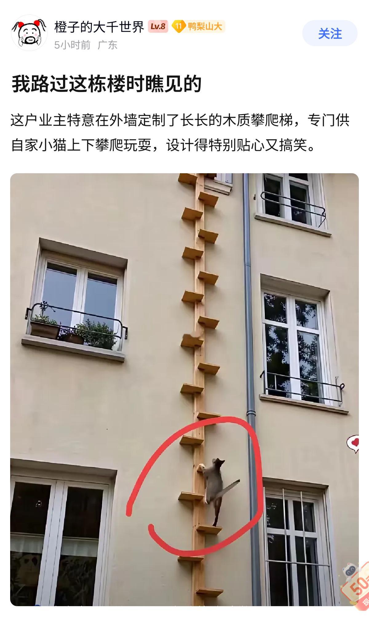 Linyuejia闲聊站物业同意？ 