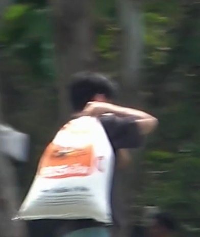 王俊凯穿得像超模干着苦力活王俊凯粉色花衬衫 王俊凯穿得像超模干着苦力活，王俊凯粉