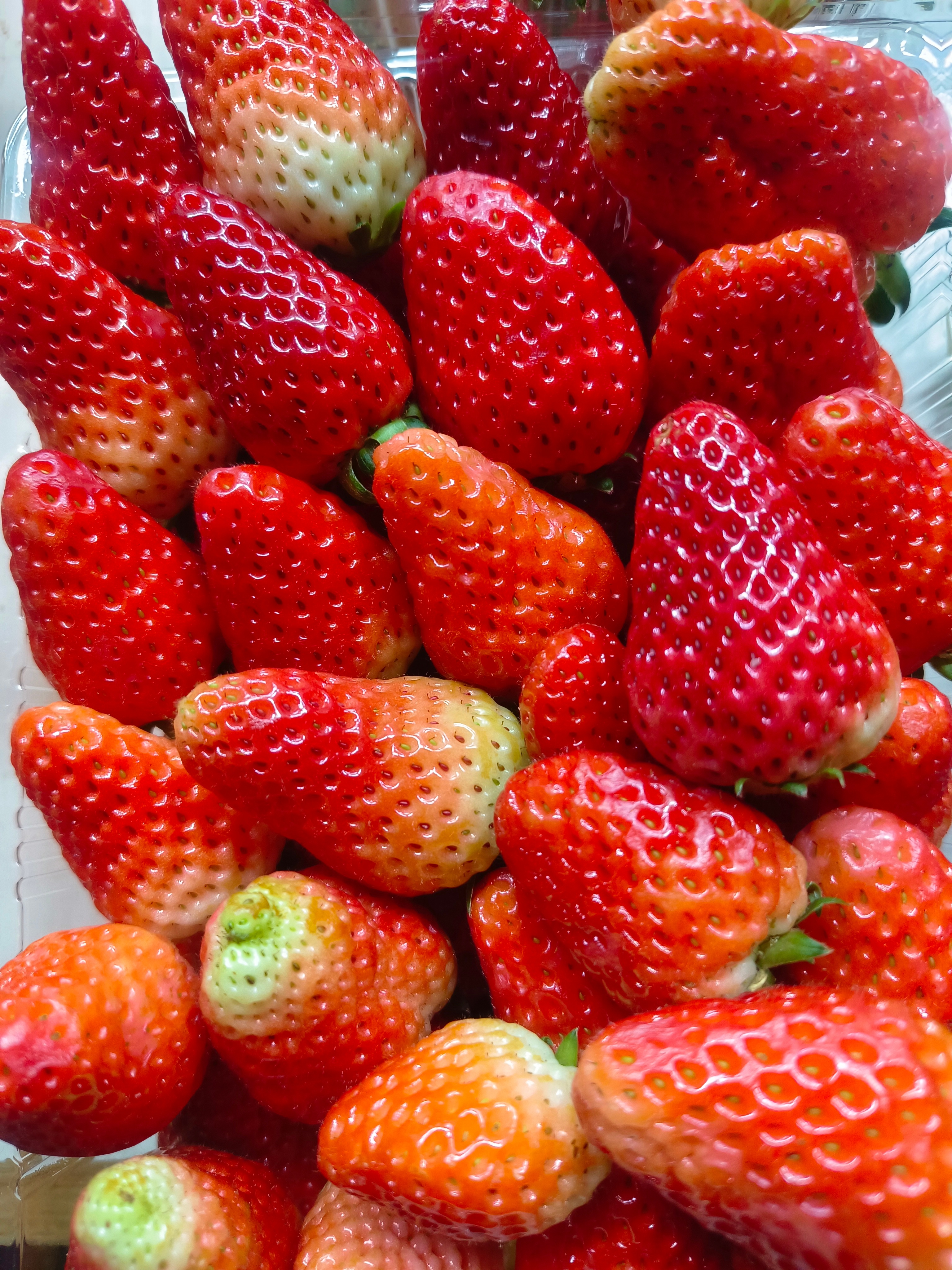 一颗草莓，藏着一整个春天的甜。红得透亮，酸中带甜，咬下去汁水四溢，是舌尖最温柔的