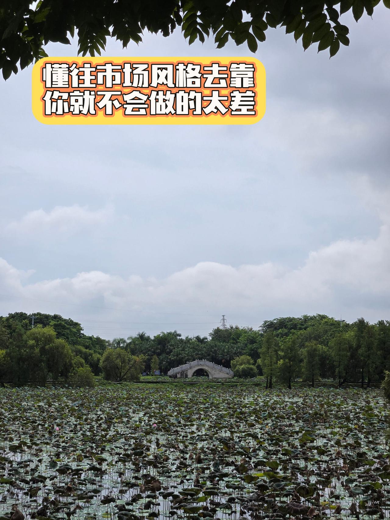 市场风格 风口趋势