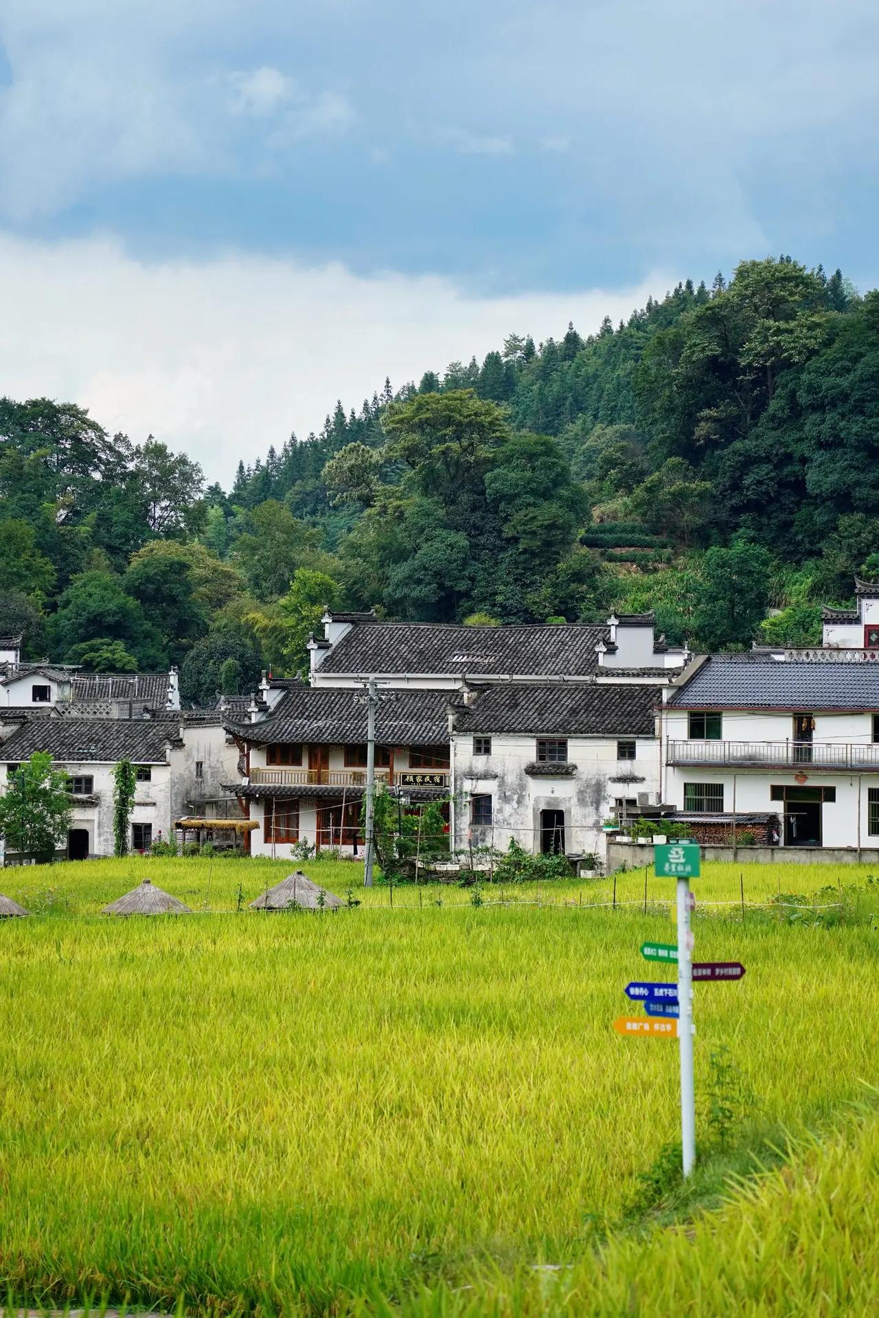 有人说，是不是因为有家长不到你这边来安排学生上课，所以你酸酸的故意说北校区和南校