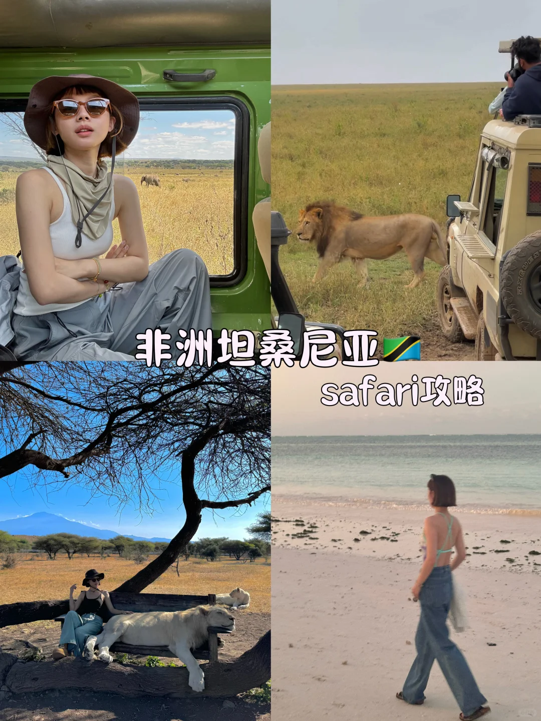 非洲坦桑尼亚safari攻略～超详细版🧾