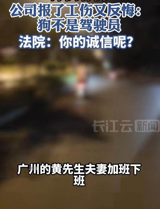 玩不起别玩！9月3日有报道，广东广州，一对夫妻下班途中遭遇意外。一条流浪狗突然窜