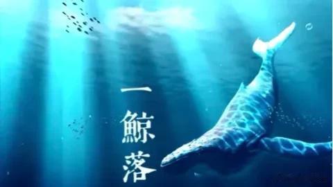 很流行的一句话是“一鲸落万物生”。通过自我牺牲，有力促进了印度、墨西哥、越南等新