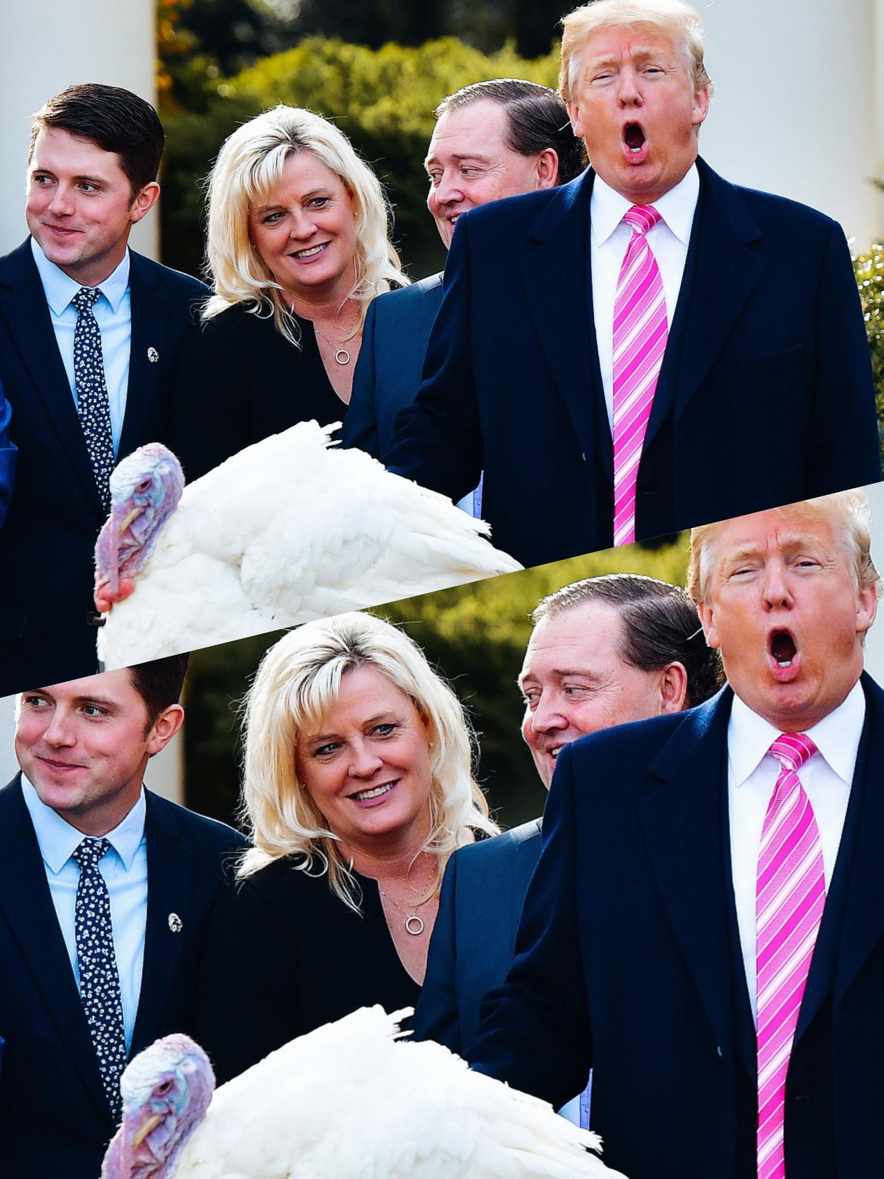 特朗普张着嘴的表情是什么意思呢？
特朗普看着火鸡这么激动吗？这是在大声吼火鸡吗？