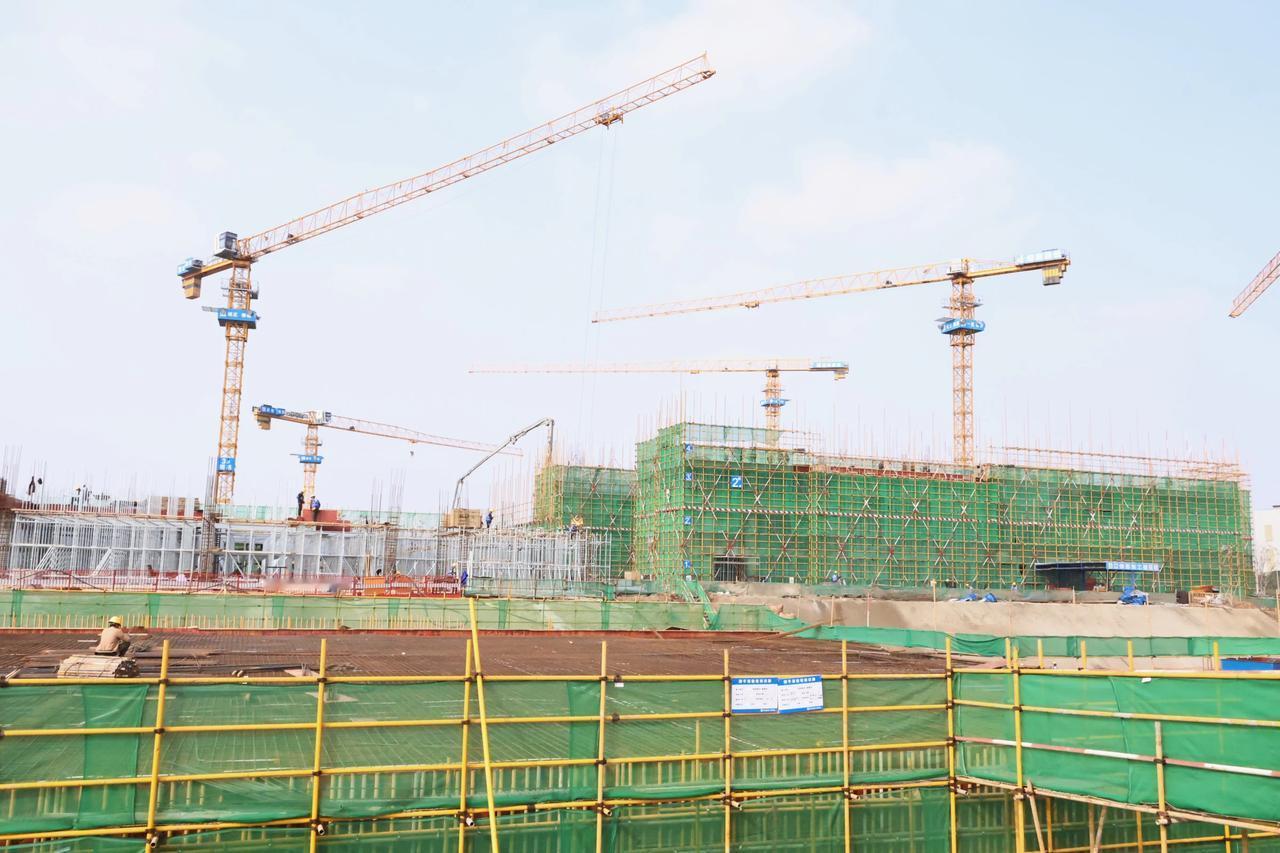 抢春时 抓项目 促消费 长沙自贸会展片区奋力开新局
 
春潮涌动催人进，实干攻坚