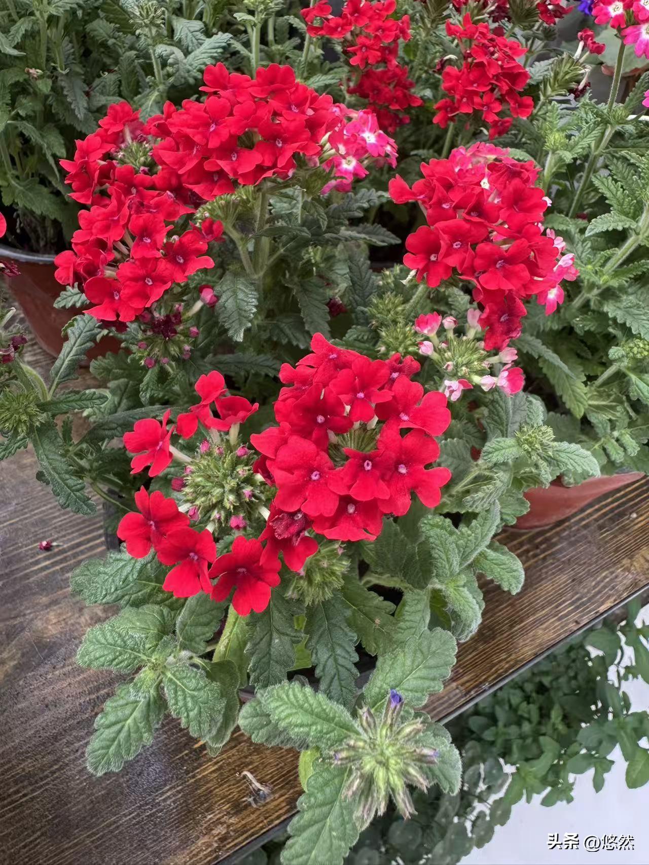 小时候交朋友很简单，一句玩笑、一次玩耍就能相伴很久。长大后，我们被工作、家庭、生