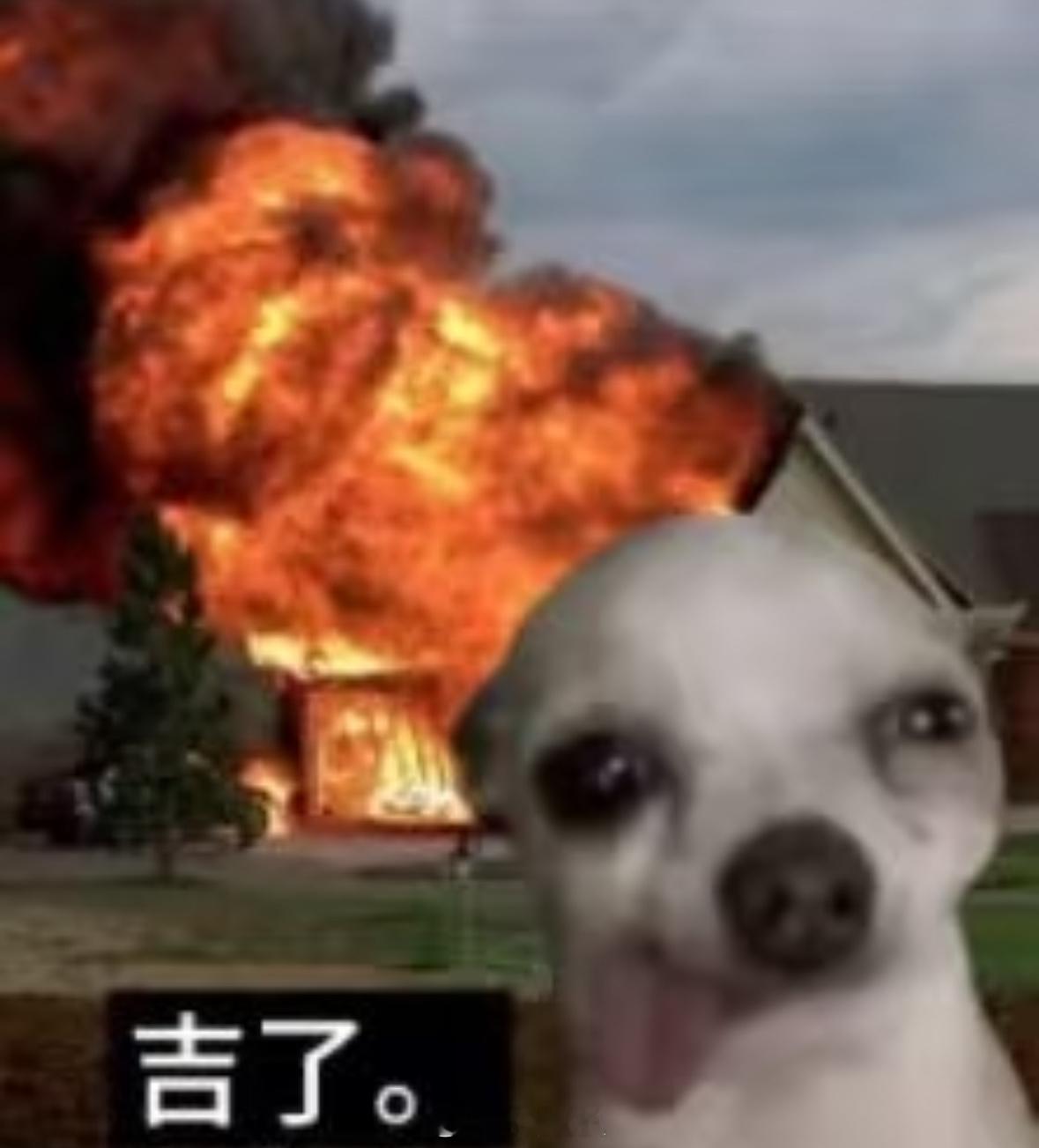 大结局就是男二为了女主去死留了一堆重磅证据只为了让女主过得更好，而男主不去揭发男