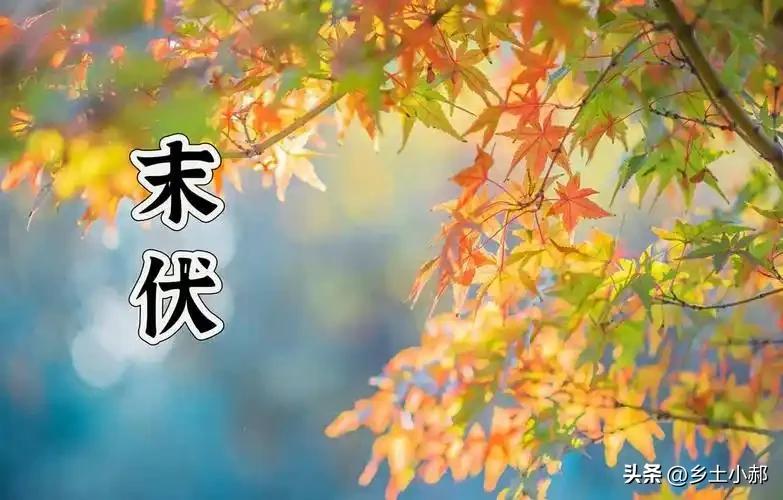 8月14日进入末伏，今年末伏还会持续高温吗？答案来了
 
8月14日就要迎来末伏