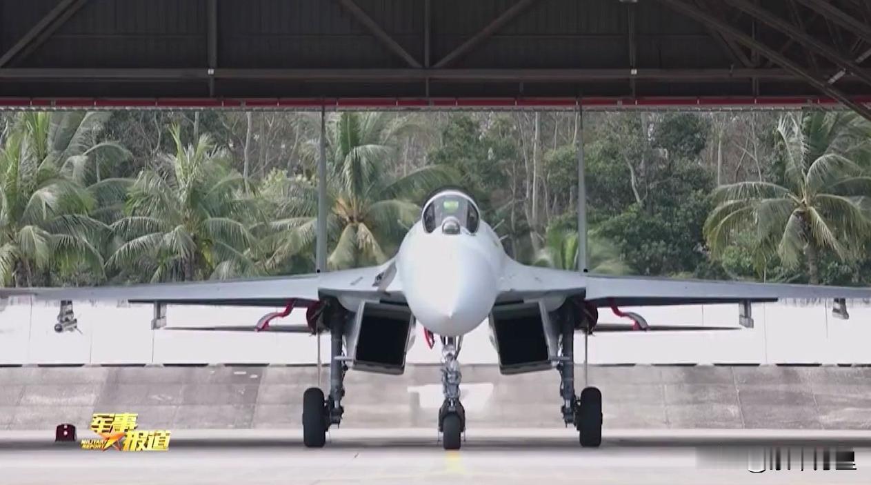 解放军海军航空兵的歼11BHG战机，非常经典。
近年来，解放军部队的歼11B、歼