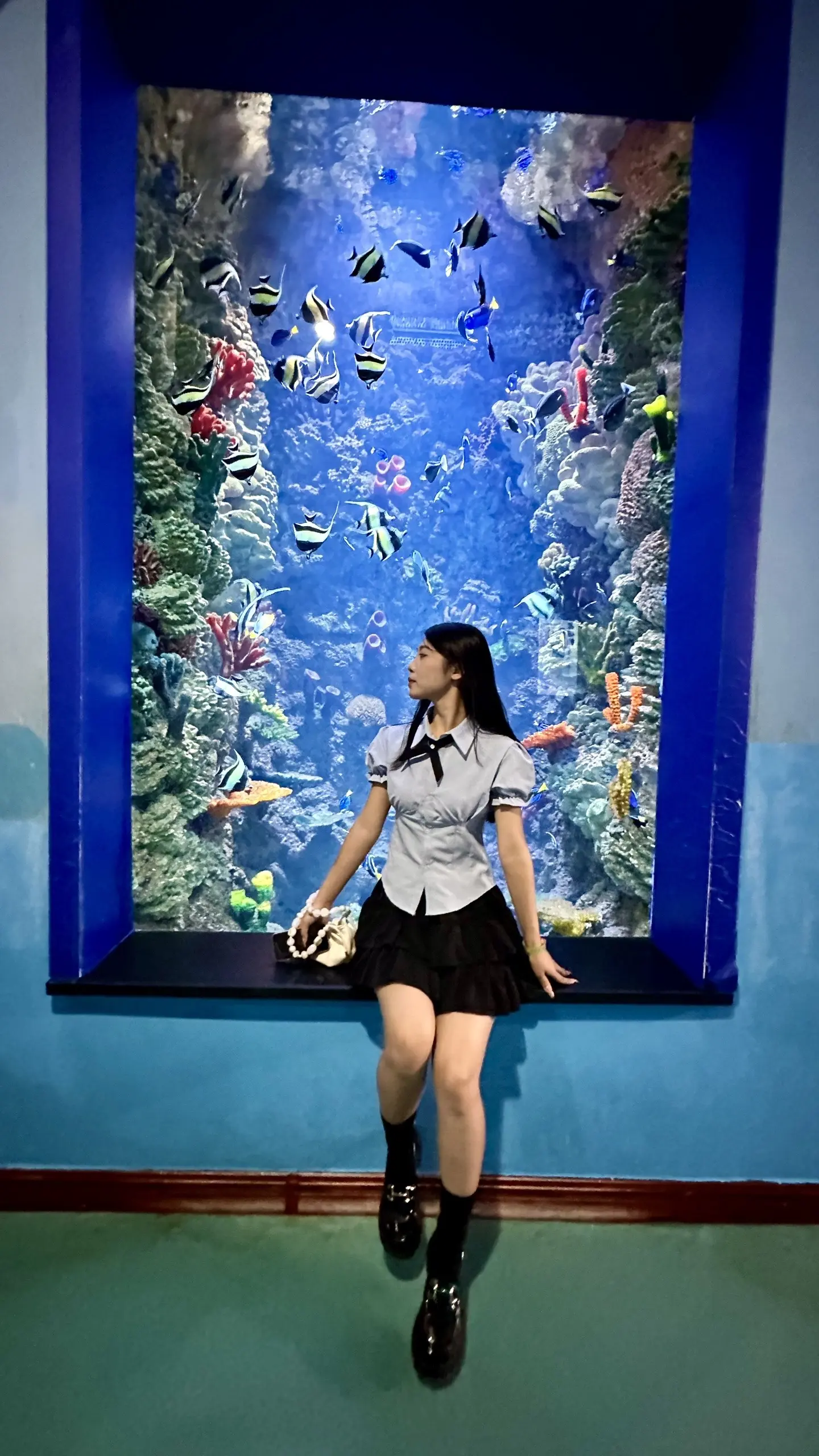 下次见面约在海洋馆吧.