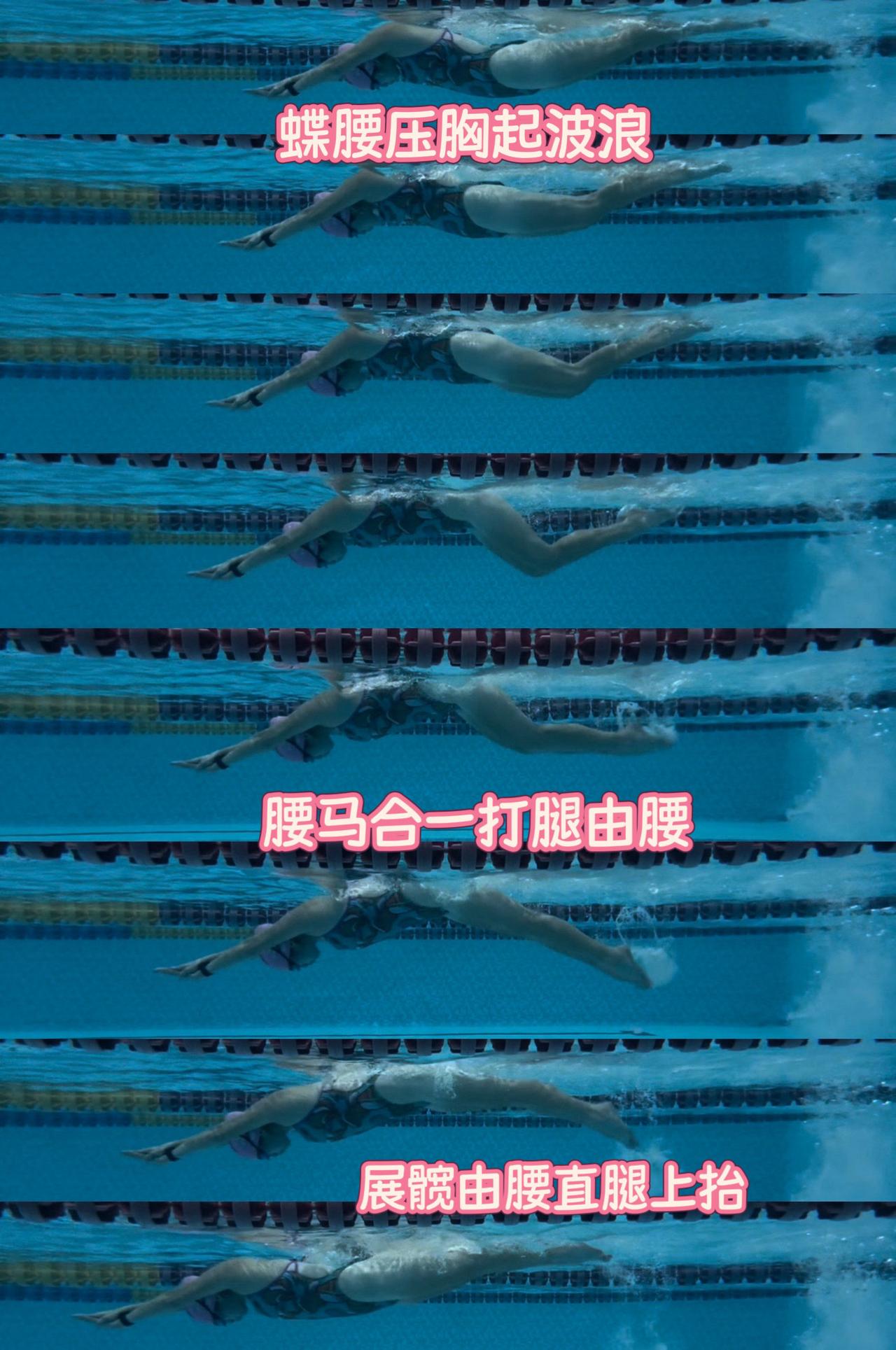 蝶泳海豚腰海豚波浪，压胸起波浪，腰部放大，打腿由腰腰马合一，不要打小腿压小腿。鞭