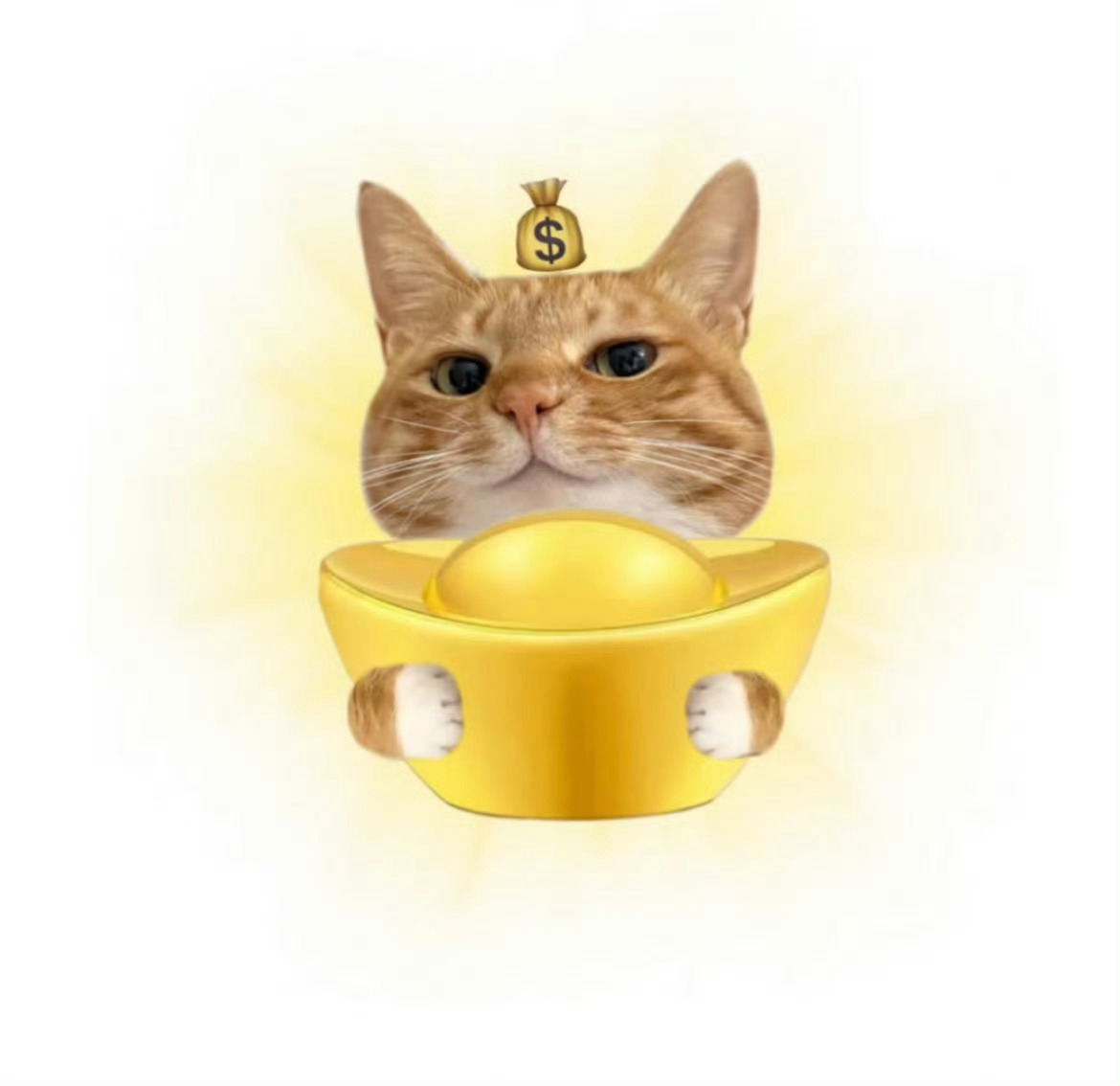 又到星期五，提前祝大家周末愉快！⭐周末发互动榜红包记得来！！卷妹的唠嗑