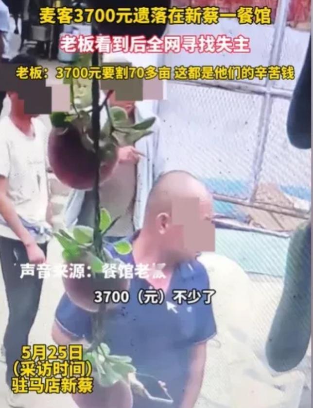 河南新蔡，4名麦客辛苦收割70多亩麦子挣得3700元，却在吃饭时不慎将钱落在了餐