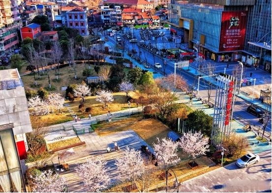 【“闲置地”变“好去处”！在汉马遇见粉色浪漫！】当2026武汉马拉松的号角即将吹