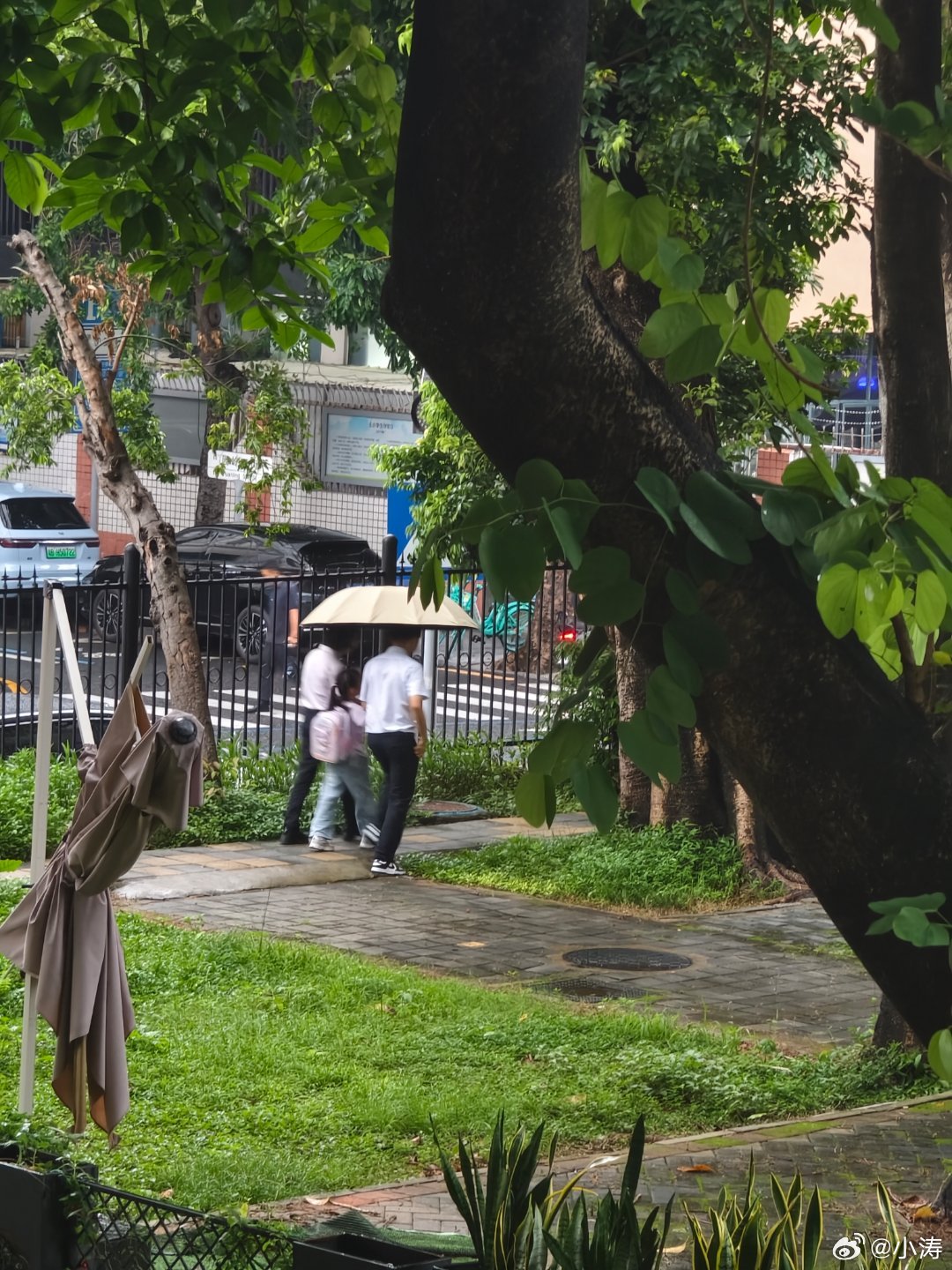 台风季，雨一直下。坦率地说我超爱下雨天，但那些正在内涝的地区就不要下了。趁着雨季