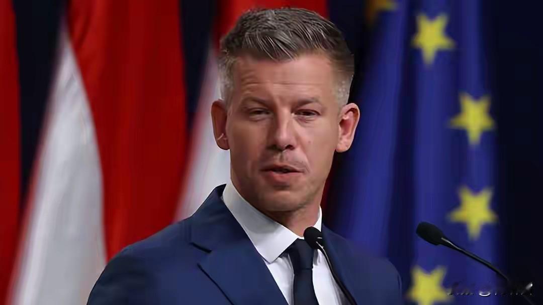 毛焦尔能当上总理，最应该感谢的人是欧尔班，而不是他的选民。正因为欧尔班一直在阻挡