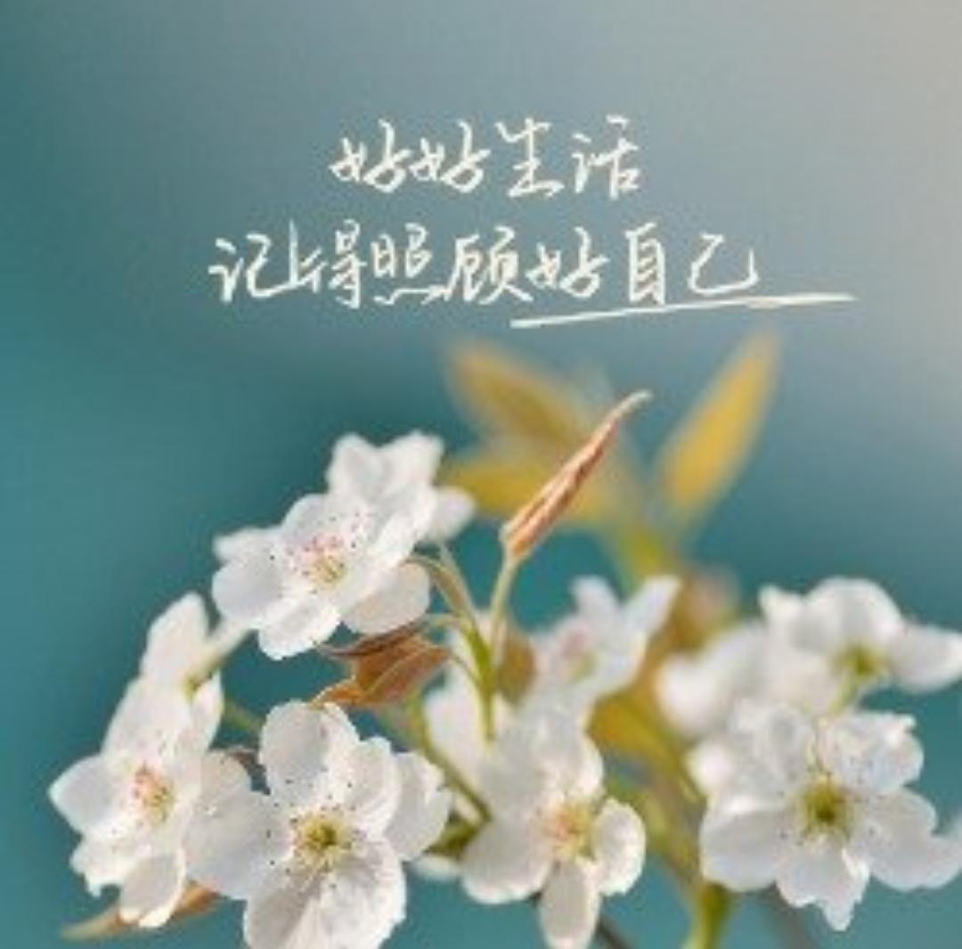 清明假期第3天
 
清明假期第3天了，有人还在赶路，有人已经收心，有人藏着说不出