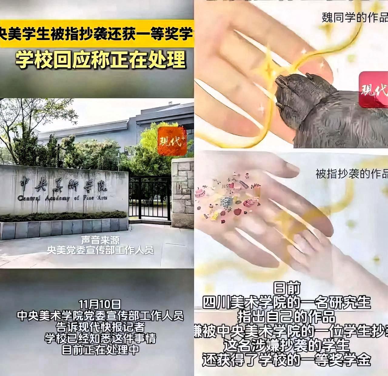 全网最后悔的非中央美院那个大学生莫属了

该学生照搬川美研究生的作品，还凭借此拿