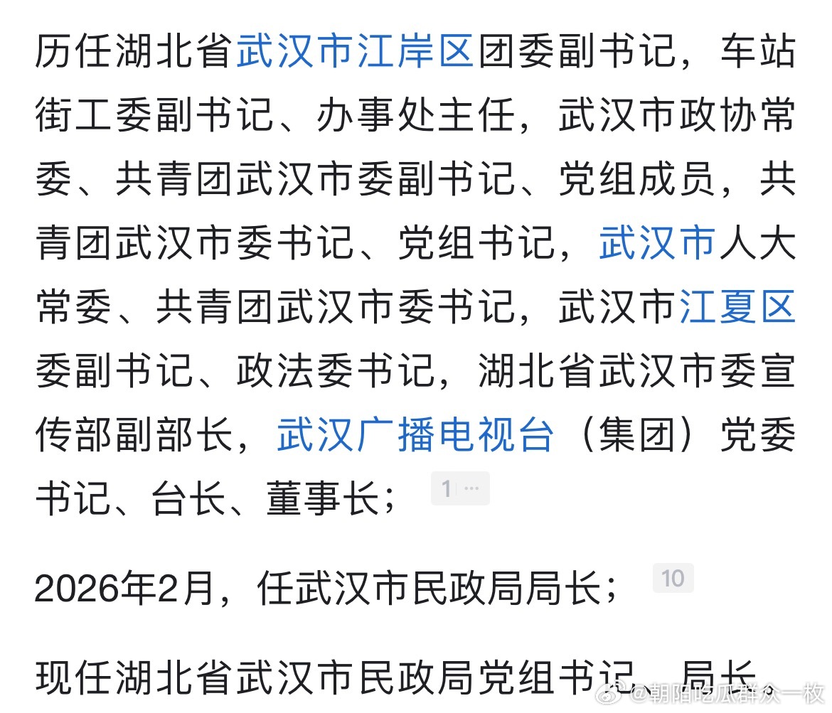 柳新任武汉市民政局局长，2017年，时年35岁的他履新共青团武汉市委书记，晋升武