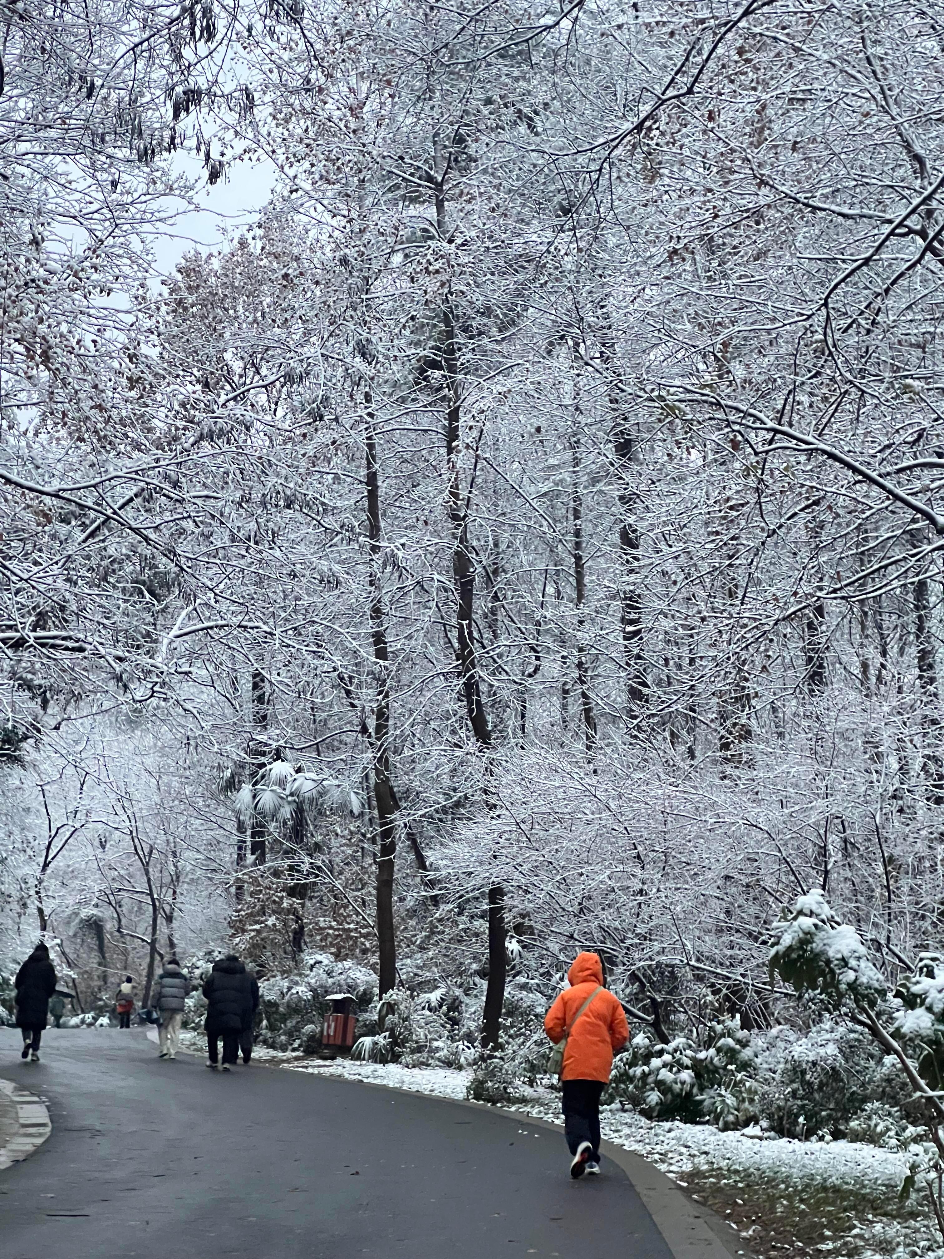 雪中的大蜀山美成仙境雪中的大蜀山美成仙境🥰 