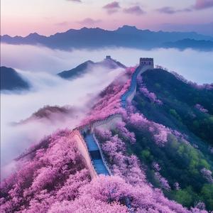 喵影泡泡泡