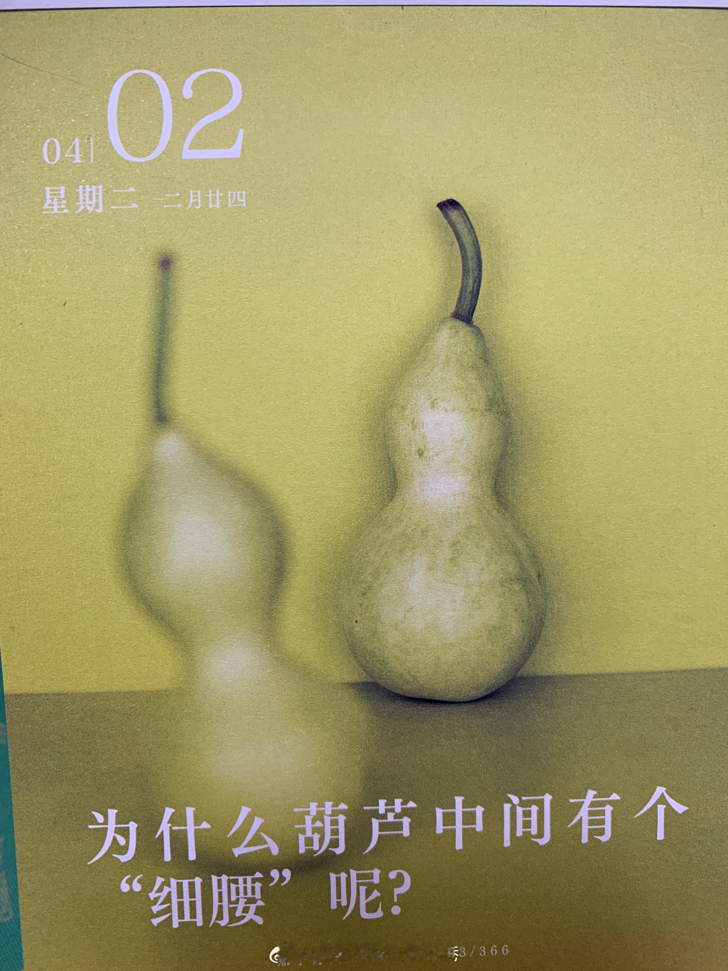 朋友们早～为什么葫芦是这个形状呢～ ​​​