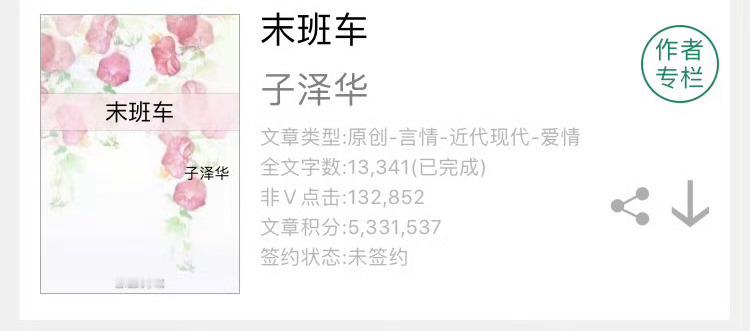 小说推荐：《末班车》 作者:子泽华简评：纯情姑娘vs恶劣男人，419，婚外情，异