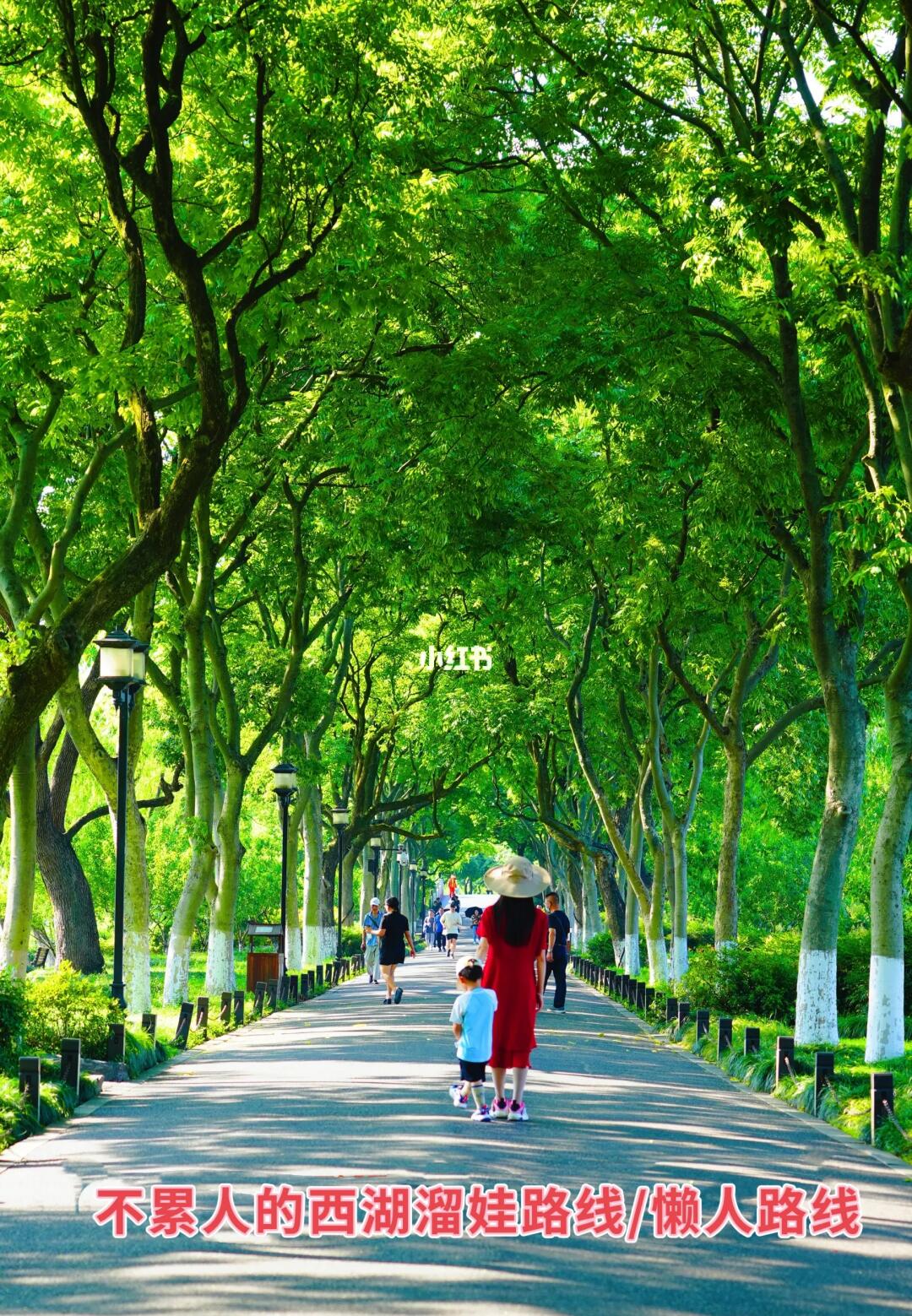 杭州旅行/❤️不累人的西湖懒人路线