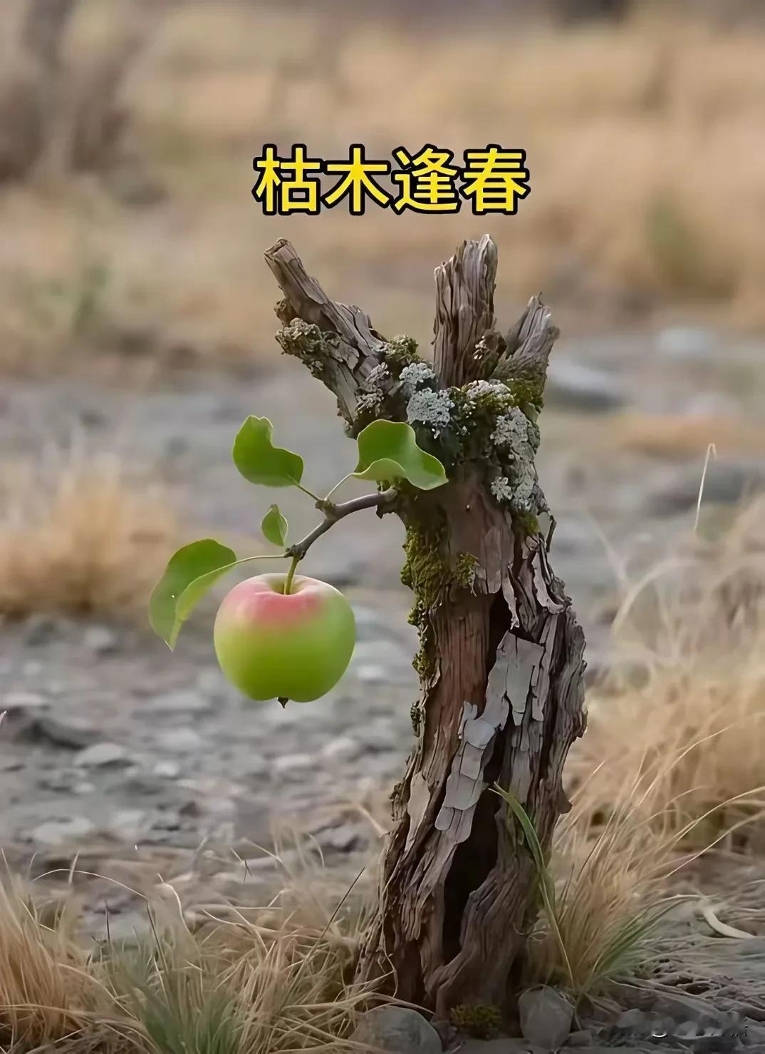 绿的不算少，心情不太好。
股市有风险，赚钱很难搞。
人生有起伏，心态很重要。
大