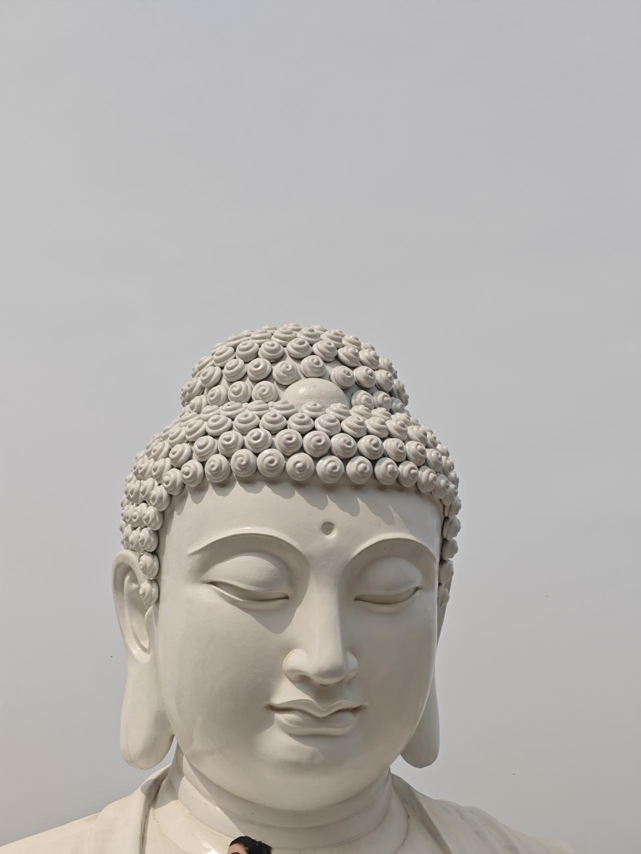 最近突然悟了！人最终还是要认命！这些年一直想挣钱，存钱，每次都是感觉看到了一点希