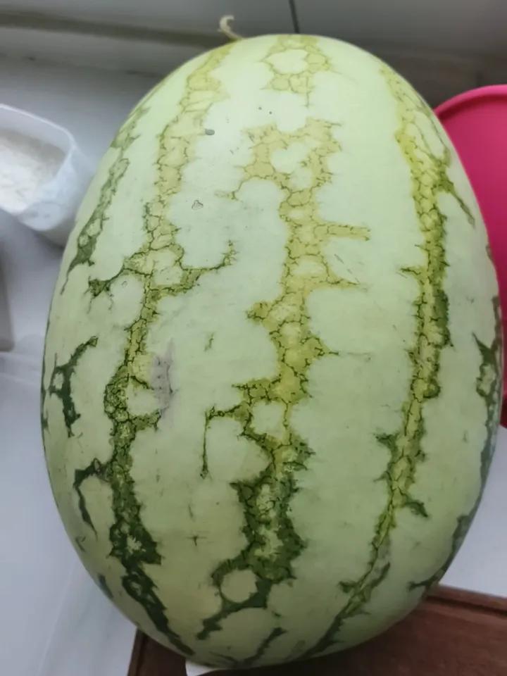 刚刚在奎屯市大象超市买了个西瓜。每公斤0.28元，这个十多公斤重的西瓜花了2.8
